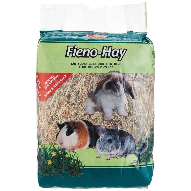 Padovan Fieno-Hay 1 Kg Feed for Dwarf Rabbits, Guinea-Pigs and Chinchillas