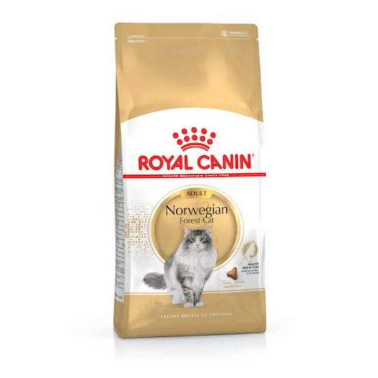 Royal Canin Size Feline Breed Nutrition Norwegian Forest Cat Adult 2 Kg