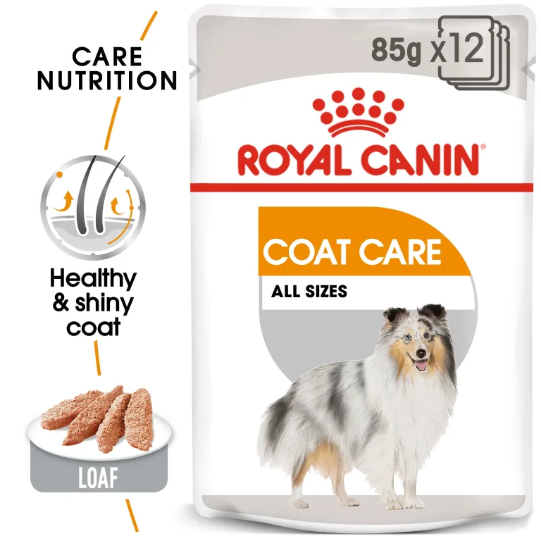 Royal Canin Size Canine Care Nutrition Coat Beauty (Wet Food – Pouches)