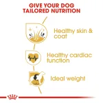 Royal Canin Golden Retriever Adult 12 Kg Breed Health Nutrition